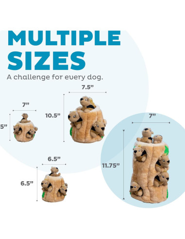 Juguete Puzzle Esconde Ardilla Outward Hound XL 5 Piezas