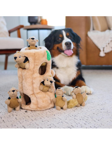 Juguete Puzzle Esconde Ardilla Outward Hound XL 5 Piezas