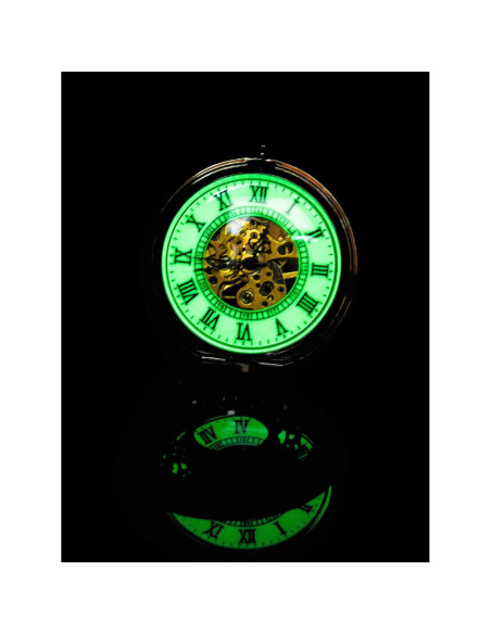 Reloj de bolsillo mecánico BOSHIYA vintage con cadena Reloj de bolsillo mecánico BOSHIYA vintage con cadena