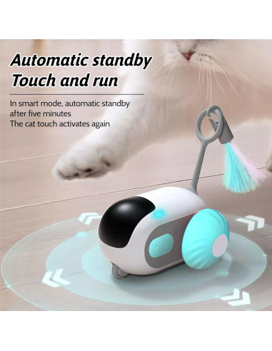 Juguete Eléctrico para Gatos PAKEISI R1446-FE Control Remoto