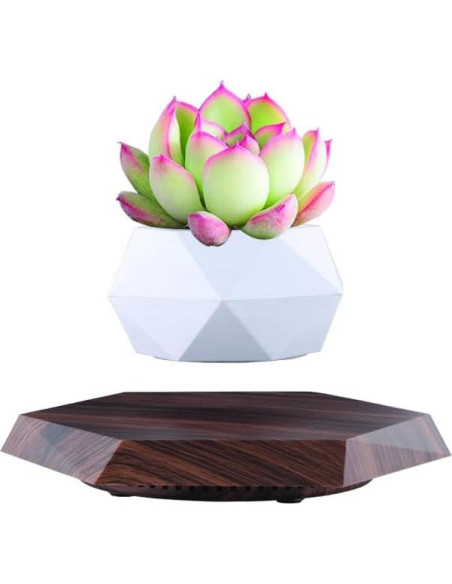 Maceta Flotante Genérico 20 cm Levitación Magnética Maceta Flotante Genérico 20 cm Levitación Magnética