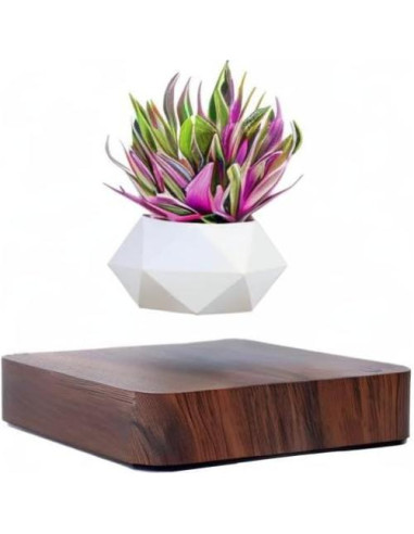 Maceta Bonsai Flotante Babook Cuadrada 9cm Color Oscuro