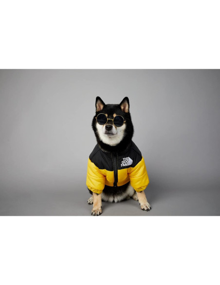 Abrigo ChoChoCho para Perros XL Amarillo - Invierno Cálido Abrigo ChoChoCho para Perros XL Amarillo - Invierno Cálido