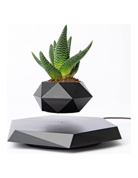 Maceta Flotante BandD Hexagonal Negra para Plantas Pequeñas Maceta Flotante BandD Hexagonal Negra para Plantas Pequeñas