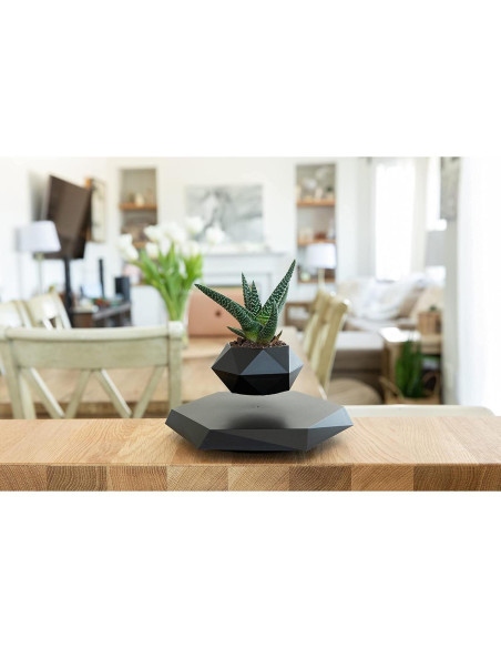 Maceta Flotante BandD Hexagonal Negra para Plantas Pequeñas Maceta Flotante BandD Hexagonal Negra para Plantas Pequeñas