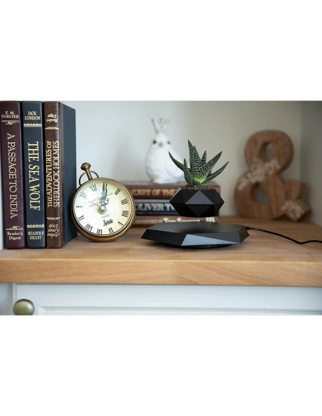 Maceta Flotante BandD Hexagonal Negra para Plantas Pequeñas Maceta Flotante BandD Hexagonal Negra para Plantas Pequeñas