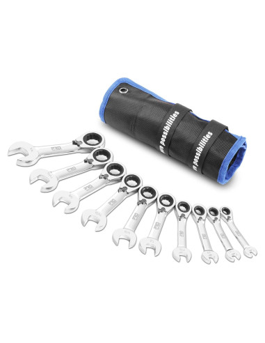 Juego de Llaves de Carraca Inversa Prostormer 10 Piezas SAE