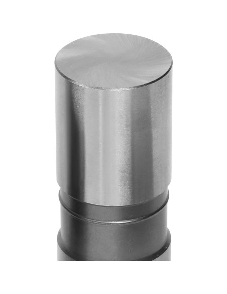 Conjunto 12 Elevadores Hidráulicos DNA Motoring LEPOW-063 2.9L Conjunto 12 Elevadores Hidráulicos DNA Motoring LEPOW-063 2.9L