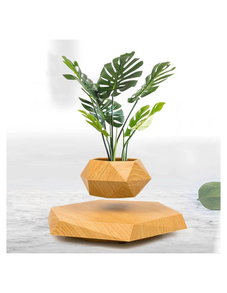 Maceta Flotante HCNT Hexagonal de Madera para Plantas Maceta Flotante HCNT Hexagonal de Madera para Plantas
