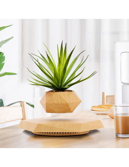 Maceta Flotante HCNT Hexagonal de Madera para Plantas Maceta Flotante HCNT Hexagonal de Madera para Plantas