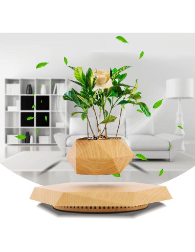 Maceta Flotante HCNT Hexagonal de Madera para Plantas