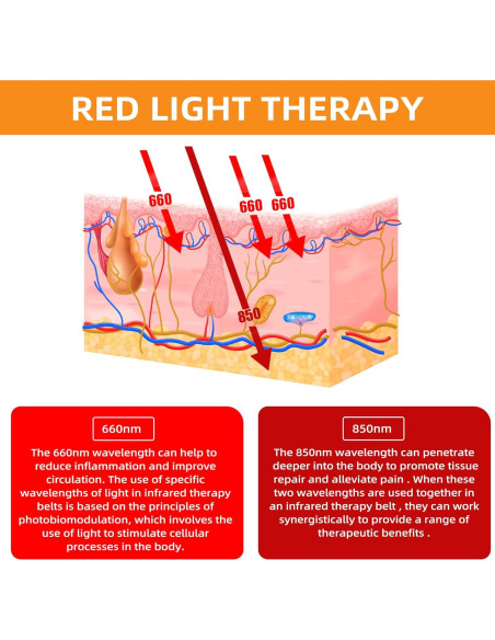 Cinturón Terapia Luz Roja UTK 4 en 1 Alivio Dolor Cinturón Terapia Luz Roja UTK 4 en 1 Alivio Dolor