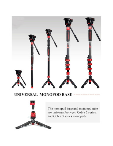 Monopie IFOOTAGE Cobra 3 C180F-P Fibra de Carbono 180cm