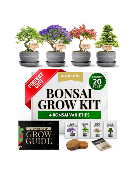 Kit Bonsai Home Grown - Cultiva 4 Especies en Casa Kit Bonsai Home Grown - Cultiva 4 Especies en Casa