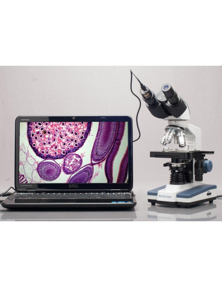 Cámara Digital de Microscopio AmScope MD300 3MP USB Cámara Digital de Microscopio AmScope MD300 3MP USB
