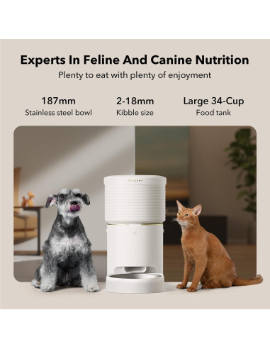 Comedero Automático PETLIBRO 8L Wi-Fi para Perros y Gatos