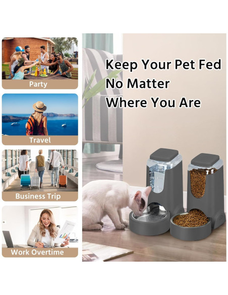 Comederos Automáticos para Gatos WyfKyd 2 en 1 Acero Inoxidable Comederos Automáticos para Gatos WyfKyd 2 en 1 Acero Inoxidable