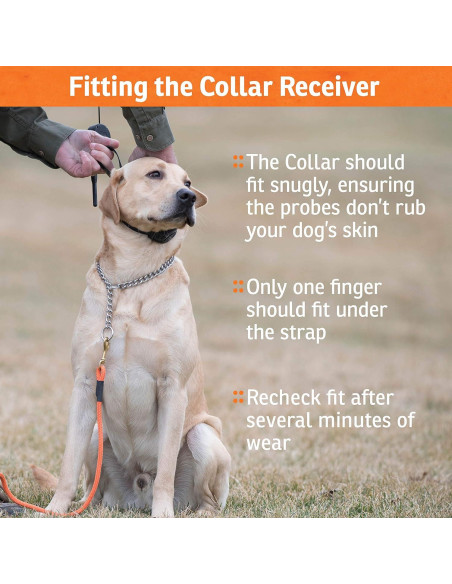 Collar de Entrenamiento SportDOG 425XS - E-Collar Recargable Collar de Entrenamiento SportDOG 425XS - E-Collar Recargable