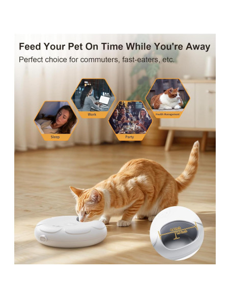 Dispensador Automático de Comida para Gatos Casfuy F13-L Dispensador Automático de Comida para Gatos Casfuy F13-L