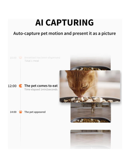 Comedero Automático PETKIT Yumshare Doble Tolva con Cámara HD Comedero Automático PETKIT Yumshare Doble Tolva con Cámara HD