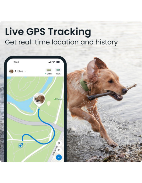 Rastreador GPS Tractive XL para Perros +22,68 kg Verde Rastreador GPS Tractive XL para Perros +22,68 kg Verde