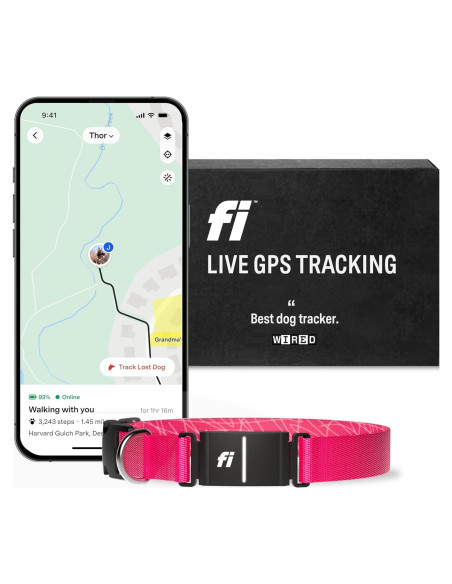 Collar Inteligente Fi Series 3 - GPS y Salud para Perros Collar Inteligente Fi Series 3 - GPS y Salud para Perros
