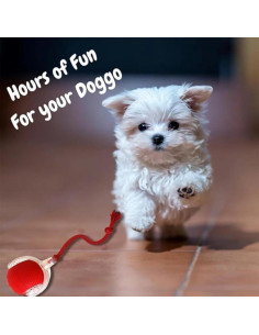 Pelota Eléctrica Interactiva para Perros y Gatos AUTRETY 2