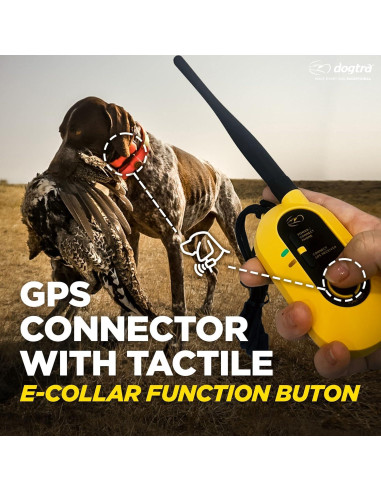 Collar GPS Dogtra Pathfinder 2 para Perros Grandes