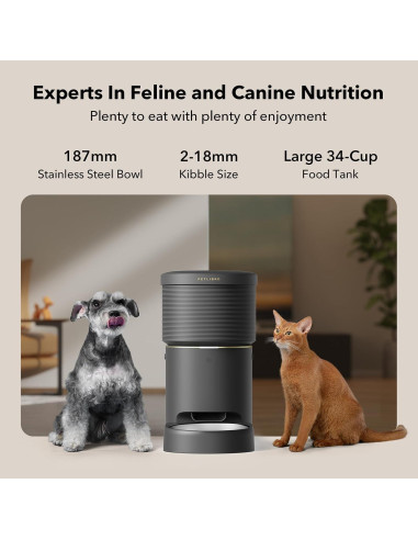Comedero Automático PETLIBRO 8L WiFi para Gatos y Perros