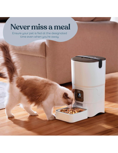 Dispensador Automático de Comida para Gatos PitPet 6L LCD