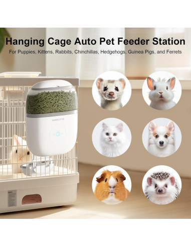 Comedero Automático RABELITTO con Cámara HD 1080P