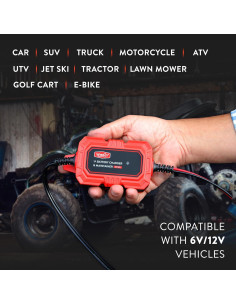 Mantenedor de Batería Weego BCM1 6V/12V Carga Automática 2