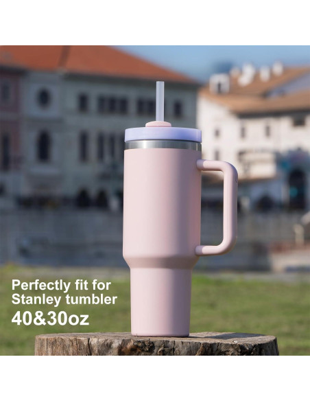 Popotes Reemplazo CXLL para Taza Stanley 40oz y 30oz Popotes Reemplazo CXLL para Taza Stanley 40oz y 30oz