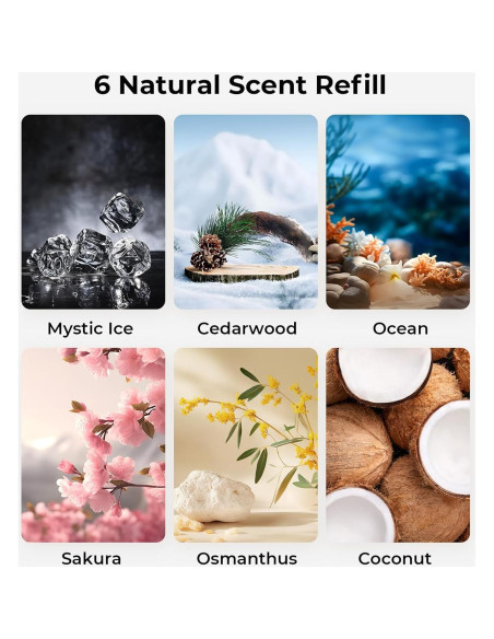 Ambientador de Aire para Autos Hitolza Madera de Cedro Ambientador de Aire para Autos Hitolza Madera de Cedro