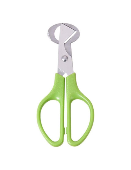Tijeras de Acero Inoxidable Sluswallow para Huevos de Codorniz Tijeras de Acero Inoxidable Sluswallow para Huevos de Codorniz