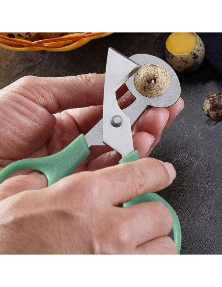 Tijeras de Acero Inoxidable Sluswallow para Huevos de Codorniz Tijeras de Acero Inoxidable Sluswallow para Huevos de Codorniz