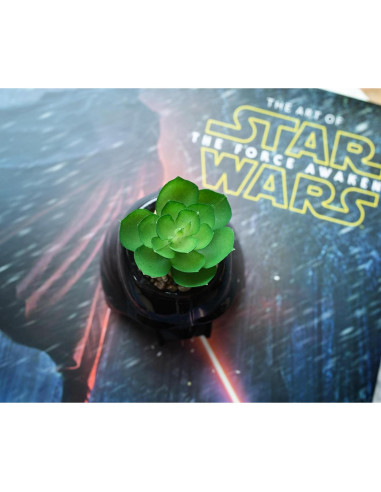 Maceta Mini Darth Vader Cerámica 7.6 cm con Suculenta