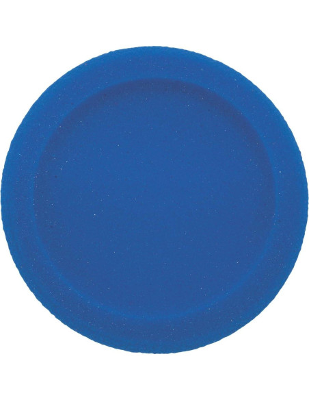 Set de Discos de Espuma Champion Sports 6 Colores 22,86 cm Set de Discos de Espuma Champion Sports 6 Colores 22,86 cm