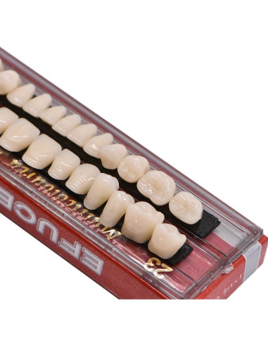 Kit de Dientes Falsos de Resina Acrílica Angzhili 28 Pcs