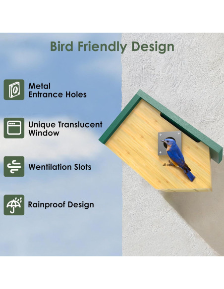 Casa para Aves Inteligente Birdkiss Verde HD 1080P Solar Casa para Aves Inteligente Birdkiss Verde HD 1080P Solar