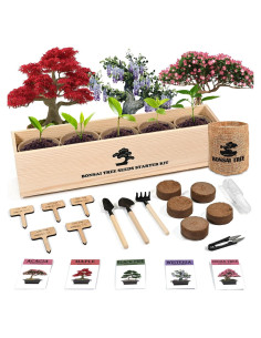 Kit de Jardín Bonsai Sproutix - 5 Semillas de Árboles