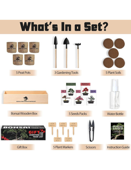 Kit de Jardín Bonsai Sproutix - 5 Semillas de Árboles Kit de Jardín Bonsai Sproutix - 5 Semillas de Árboles