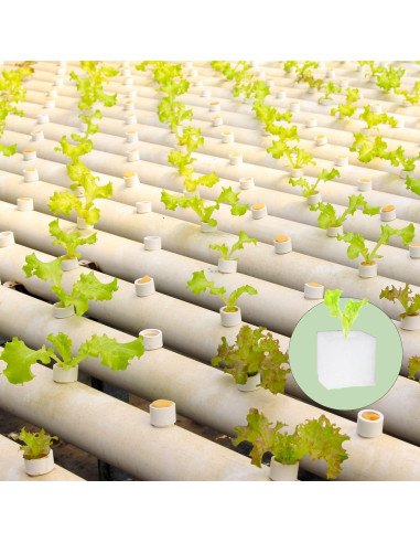 600 Esponjas Hidropónicas Tongnian para Cultivo Sin Suelo