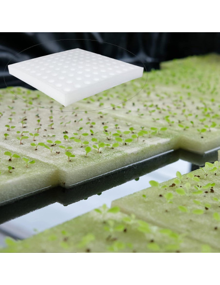 600 Esponjas Hidropónicas Tongnian para Cultivo Sin Suelo 600 Esponjas Hidropónicas Tongnian para Cultivo Sin Suelo