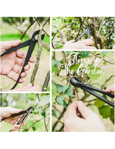Kit de Bonsai 15 Piezas Mefape con Herramientas de Acero