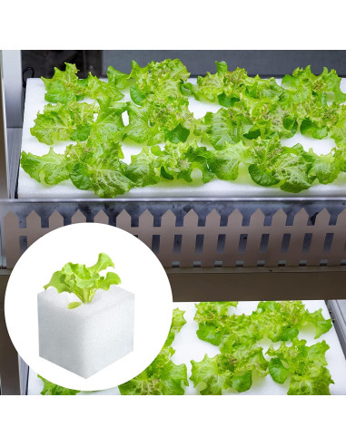 Esponjas Hidropónicas XIDAJIE 600 Pcs para Cultivo de Plantas