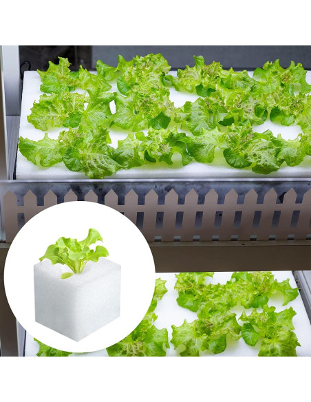 Esponjas Hidropónicas XIDAJIE 600 Pcs para Cultivo de Plantas Esponjas Hidropónicas XIDAJIE 600 Pcs para Cultivo de Plantas