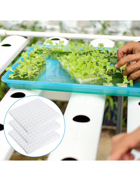 Esponjas Hidropónicas XIDAJIE 600 Pcs para Cultivo de Plantas Esponjas Hidropónicas XIDAJIE 600 Pcs para Cultivo de Plantas