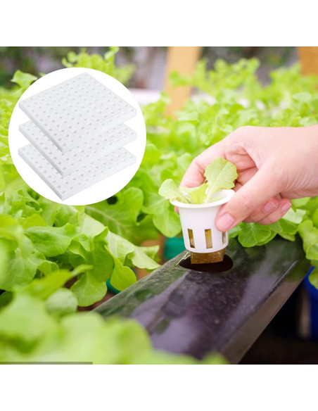 Esponjas Hidropónicas XIDAJIE 600 Pcs para Cultivo de Plantas Esponjas Hidropónicas XIDAJIE 600 Pcs para Cultivo de Plantas