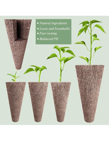 Kit de Cultivo Hidropónico 125 Piezas Tigvio - Esponjas, Cestas, Domos